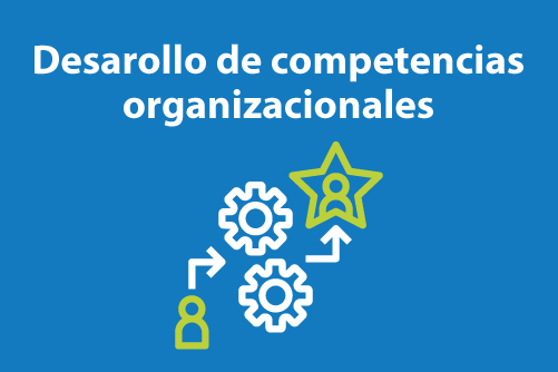Desarollo de competencias organizacionales - 2026